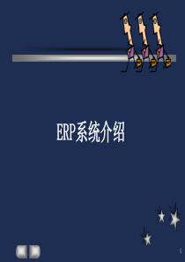 《ERP系统介绍》PPT课件