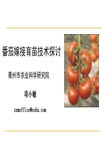 番茄嫁接育苗技术