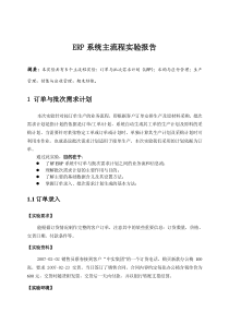 ERP系统实验报告