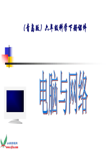 (青岛版)六年级科学下册课件-电脑与网络