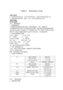 专题《物质的检验与鉴别》复习教案1