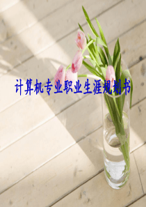 计算机专业职业生涯规划PPT模板