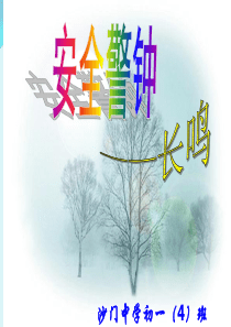 初中生安全教育主题班会课件