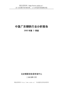 广东钢铁行业分析报告（DOC 80页）