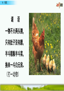 14-母鸡