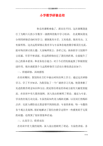 小学数学研修总结