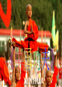 中国功夫课件幼儿园优质课教学课件ppt