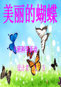 大班科学课件ppt美丽的蝴蝶