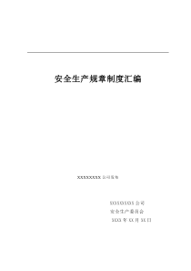 XXX公司安全生产规章制度