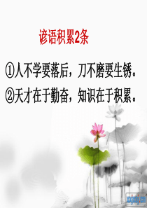 高中语文必修三第三单元文言文复习