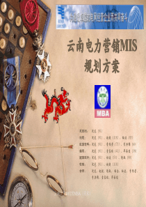 云南电力营销MIS(1)