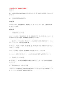 小班科学活动各种各样的糖果市示范幼儿园小班科学教案