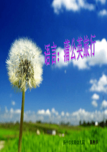 幼儿园中班故事课件PPT蒲公英旅行记幼儿园中班故事教学课件