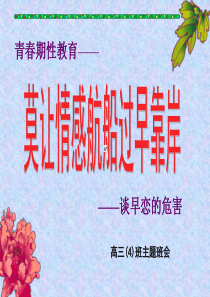早恋早恋教育主题班会课件PPT