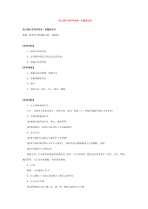 有趣的石头省示范幼儿园中班科学教案