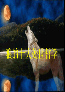 狼品质修养成长篇主题班会课件PPT