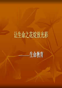 绽放光彩生命教育主题班会ppt安全教育主题班会课件PPT