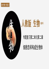 专题03-细胞怎样构成生物体-2020年中考备考生物一轮复习课件(共41张PPT)