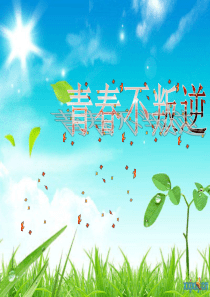 青春不叛逆课件成长教育PPT课件及教案主题班会