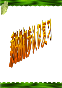 青岛版数学二年级上册第一单元《乘法的初步认识》复习课课件