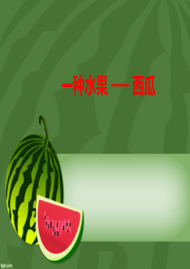 西瓜ppt