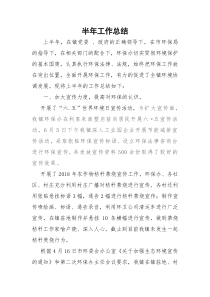 环保办半年工作总结