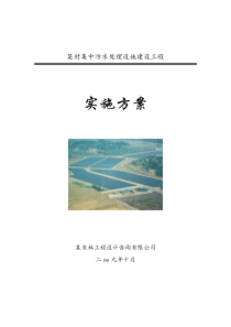 污水处理厂实施方案