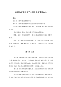 XX股份有限公司子公司分公司管理办法
