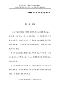 XX集团有限公司财务管理办法