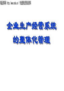 企业整体化管理