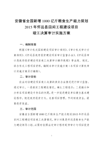 审计实施方案