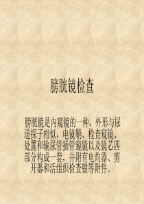 膀胱镜检查