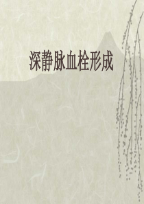 深静脉血栓形成.ppt