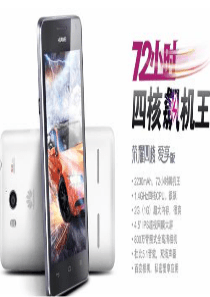 新产品定价策略案例-华为爱享