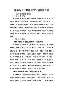 某平台公司整体转型发展规划方案
