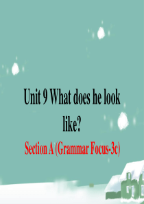 人教新目标-英语-七下-Section-A-第二课时Unit-9-Section-A-(Gramma