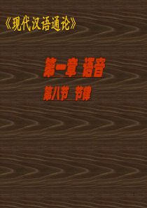 《现代汉语通论》(精)