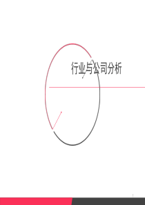 行业公司分析方法0516（PPT57页)