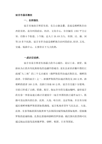 延吉概况