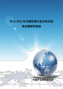 行业分析及投资决策研究报告