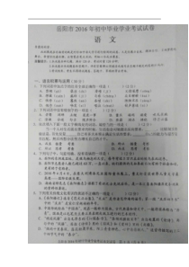 苏教版九年级语文2016年中考题岳阳市