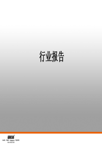 行业分析报告