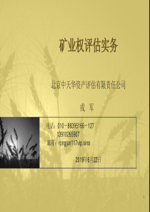 矿业权评估实务-资料