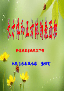 五年级下册长方体和正方体的表面积ppt课件