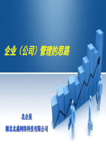 企业(公司)管理思路