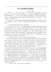 本人专业技术工作述评