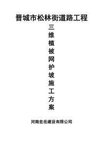 1三维植被网护坡施工方案