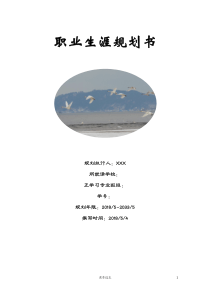 职业生涯规划书(中药学)