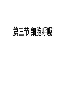 2011细胞呼吸一轮复习解析