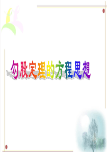 勾股定理与方程思想的综合应用